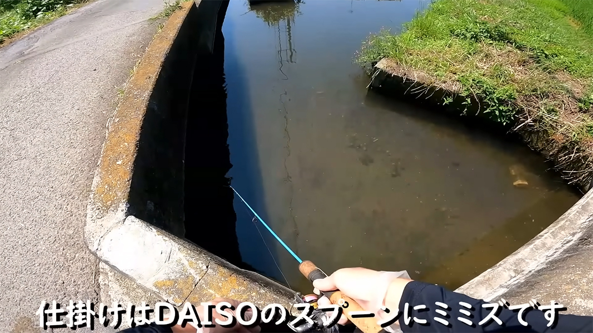 😱这条河要完！凶猛食人鱼竟遇上更可怕的狠角色！