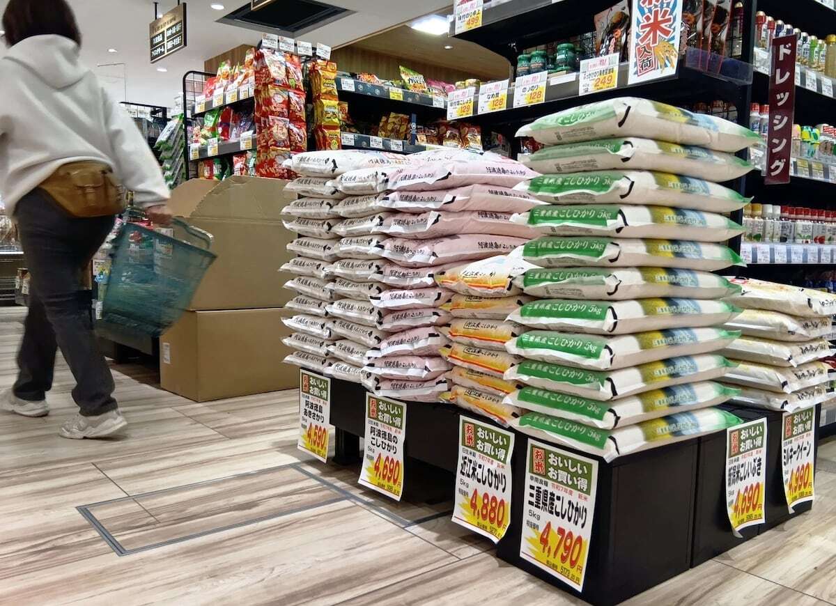 🍚 新米涨价？囤粮也没用！😱