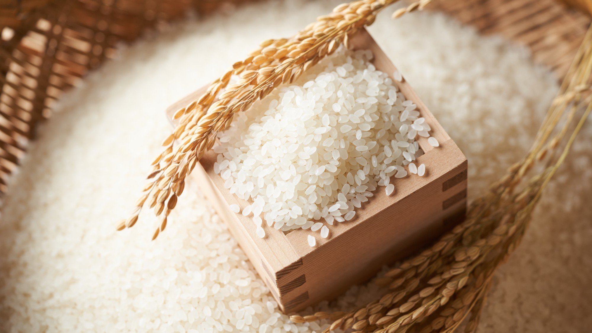 🌾 揭秘！农相“真意”：大米政策谁赢谁输？