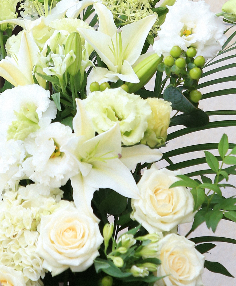 💔 痛失！27岁模特永江里理意外离世，家人悲痛欲绝！