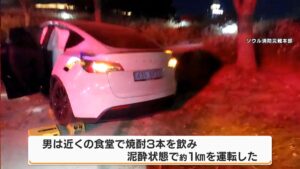 💥韩遇车祸：酒驾猛于虎，日亲子伤亡！ 封面