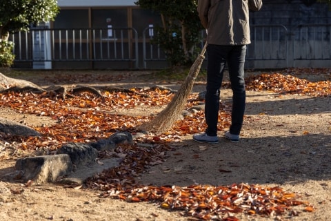 🍂邻居落叶“淹没”我家！敢求偿吗？