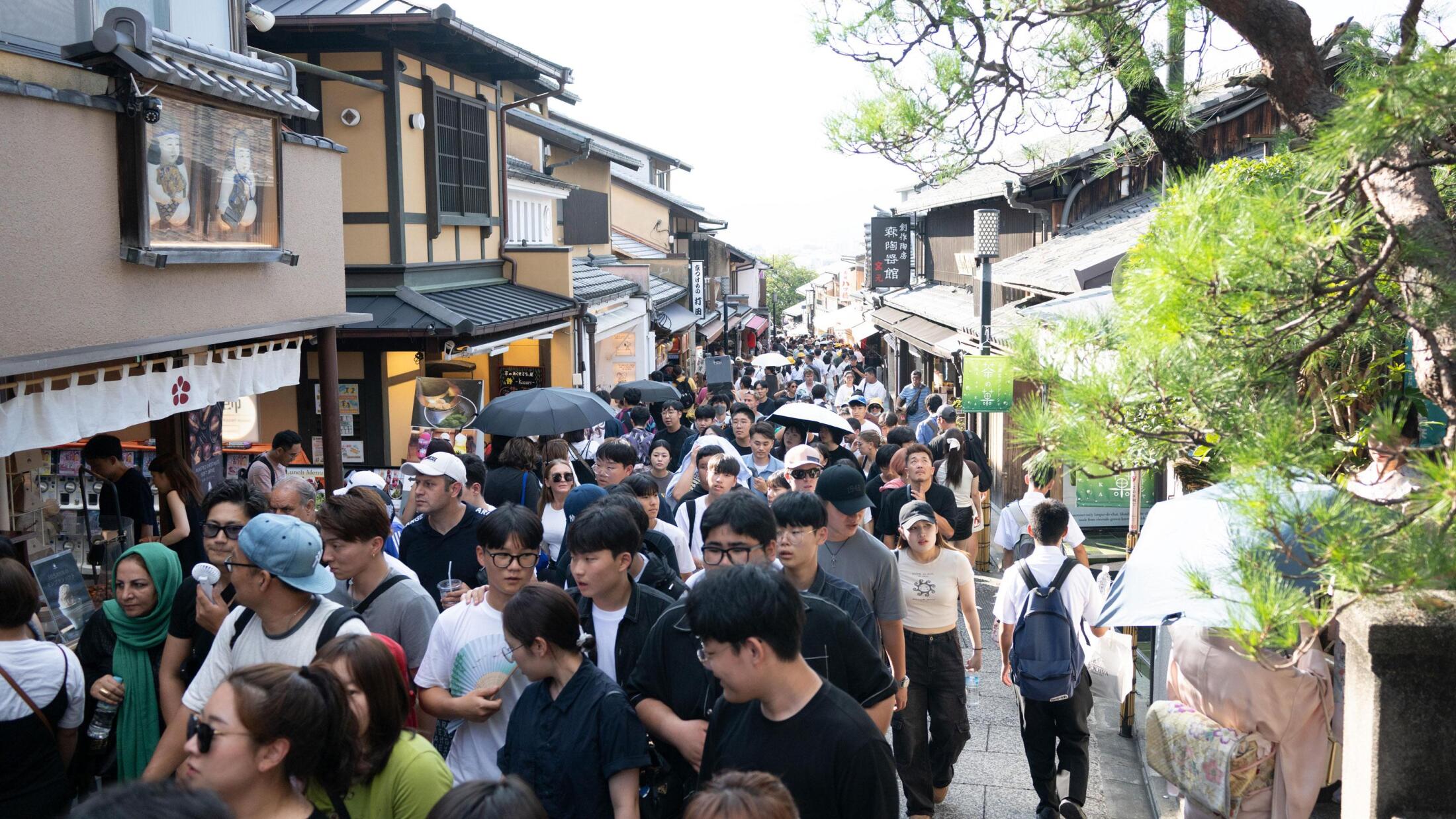 💥日本政客：靠“骂游客”博眼球，真够阴的！