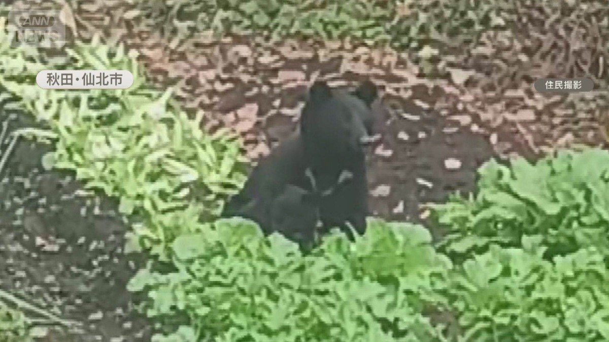 🔥拼命干，还倒贴油钱！有人干，谁来扛？