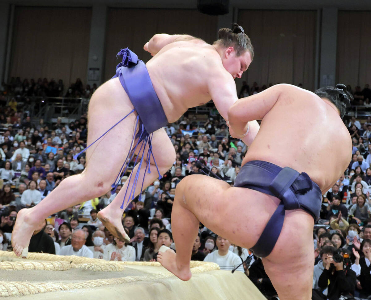 💥双雄陨落！安青锦逆袭登顶，千秋乐决战！