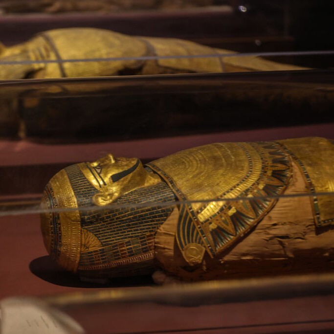 ⚠️古埃及木乃伊惊现病毒！人类或将面临威胁？