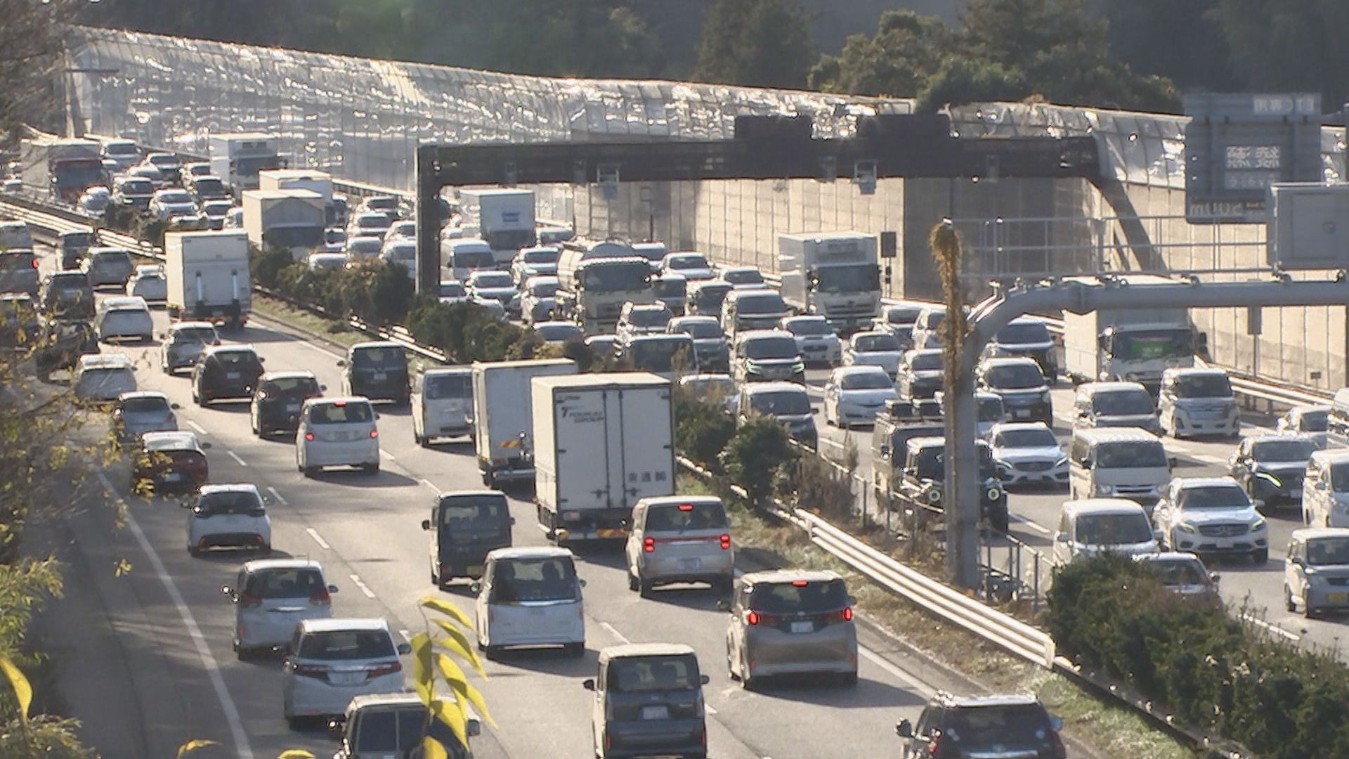 🚗买车能省税？限价从50万到60万！