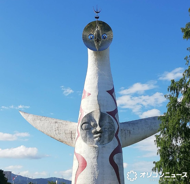 ⚠️公园拍照乱象：无照收费，禁拍都不管用？