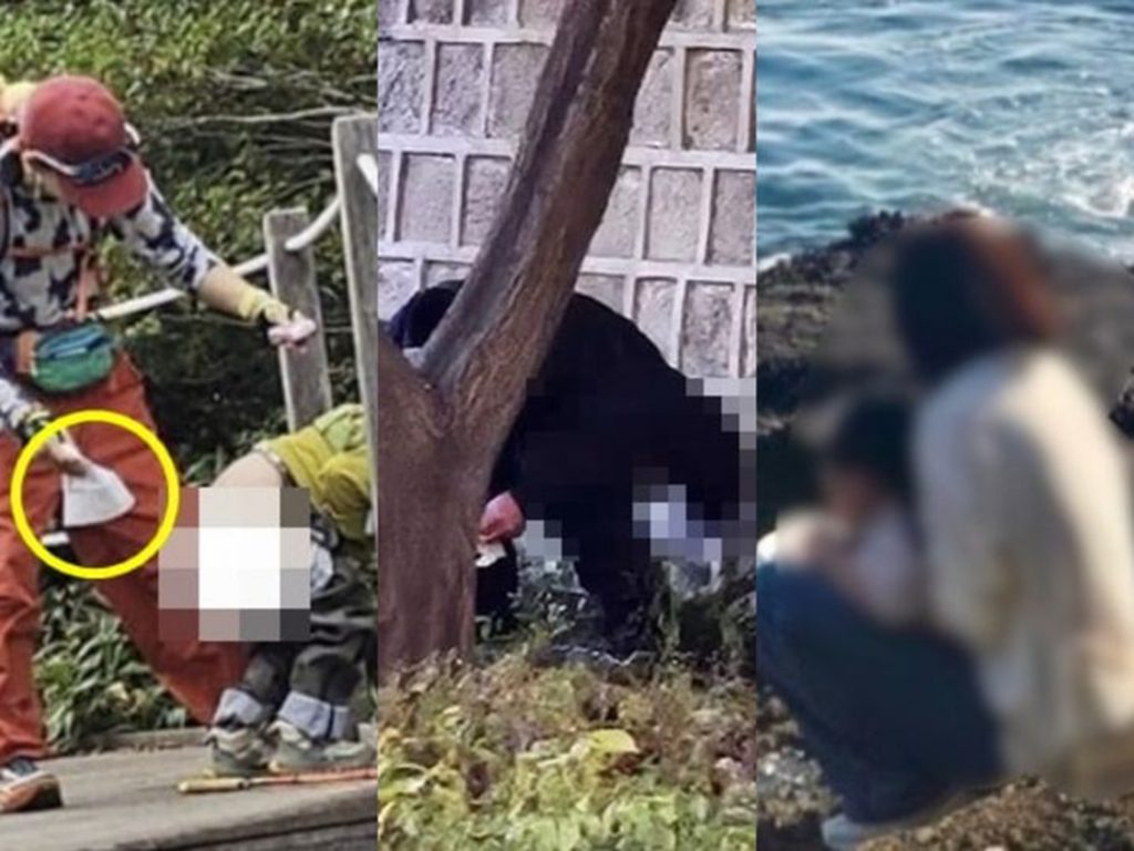 💥韩游客野性难驯？各地“奇葩”行为引爆！