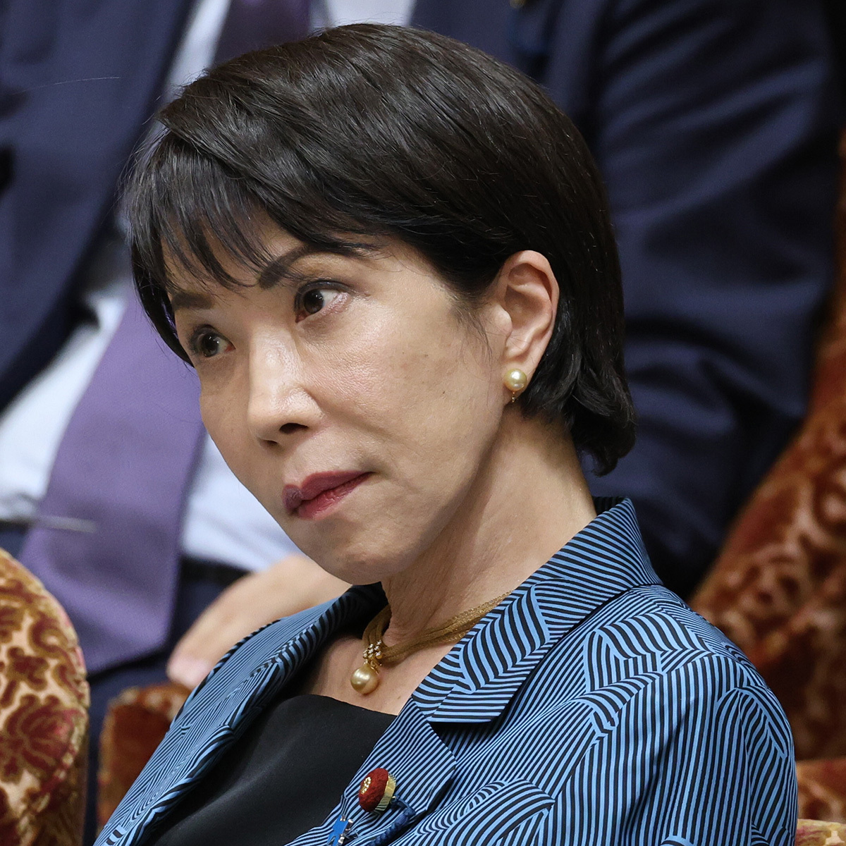 💥她不是日本人？！资深评论员怒斥“熊猫压力”下的首相！