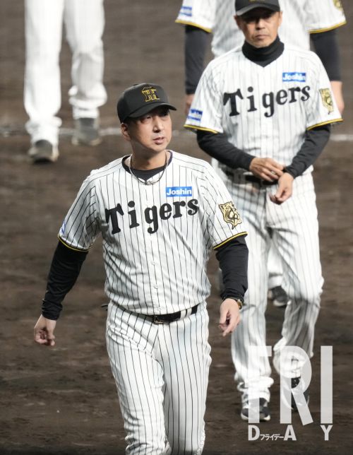 🔥阪神夺冠背后：教练内讧？！独断起用引爆危机！