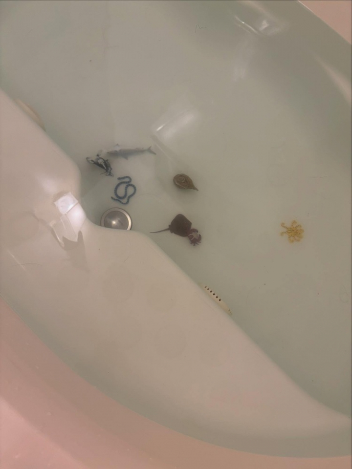 🛁😱 泡泡浴藏杀机！妈妈吓坏了，浴室也别想安全！