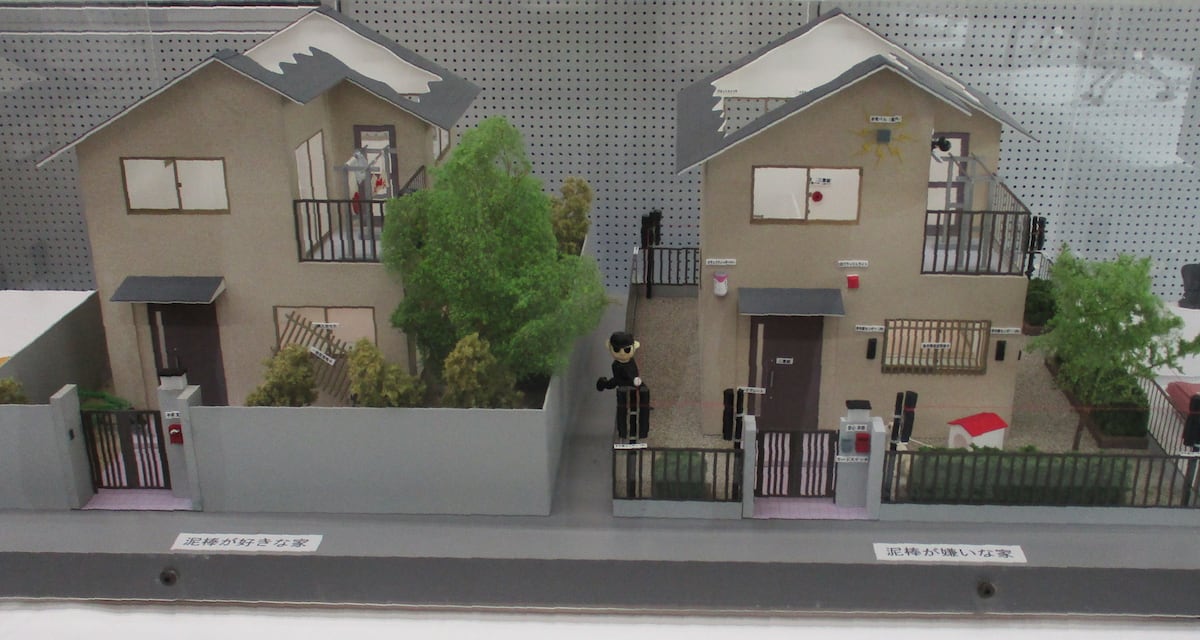 🚨小偷眼中的“爱”与“恨”：模型揭秘防盗秘诀！