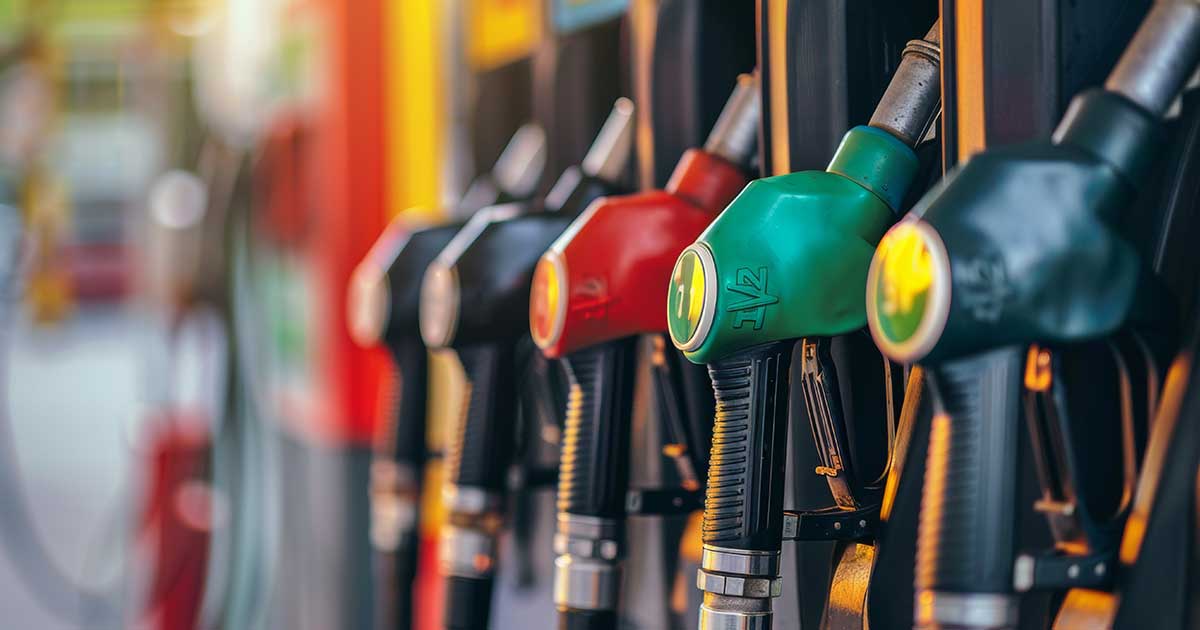 💥平民被嘲笑！“豪门河野”减税反弹，真相扎心！