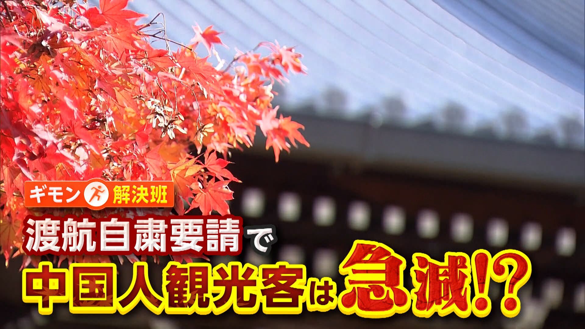 🍁京都红叶美景冷清了？游客骤降，富人与平民的选择大不同！