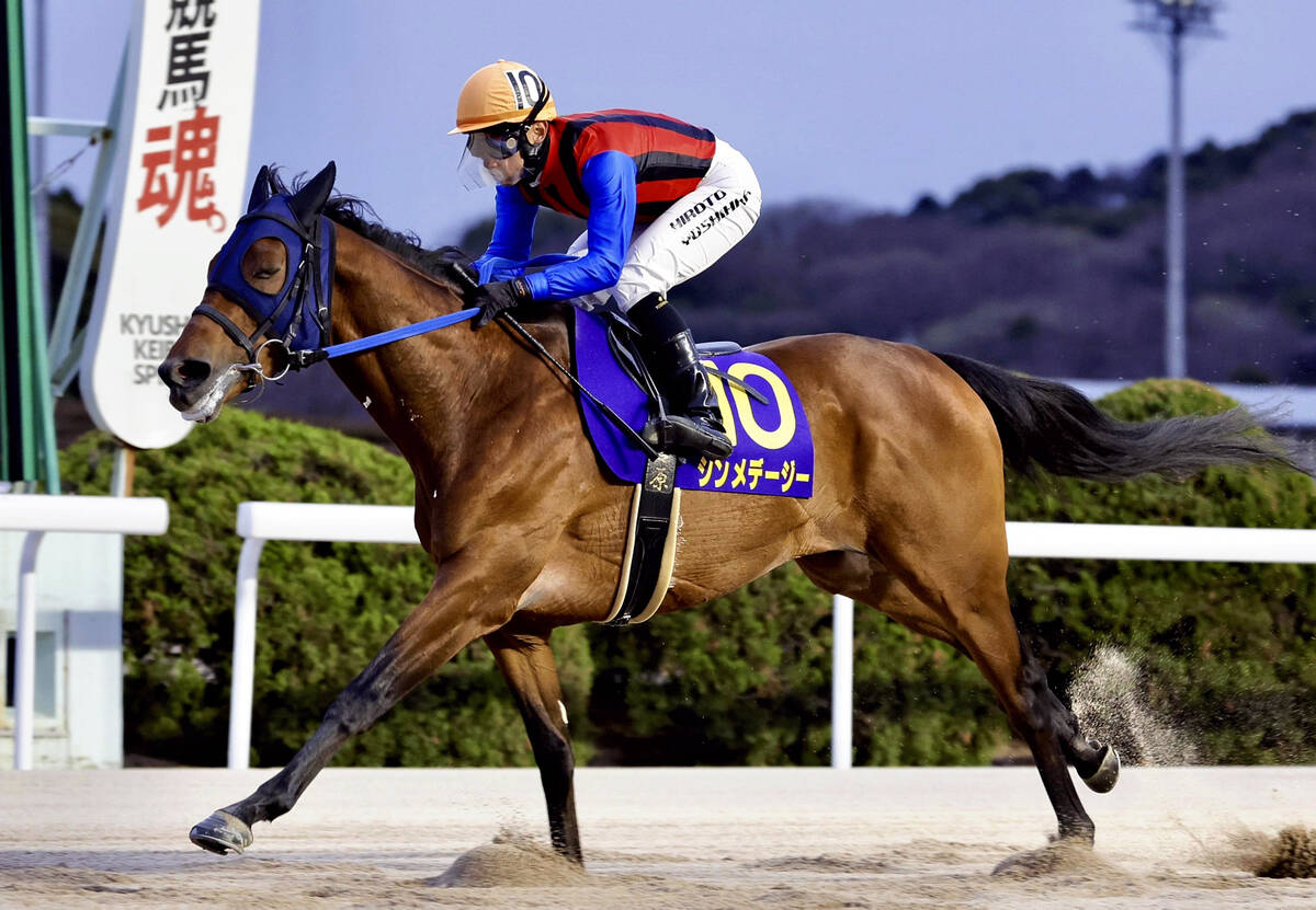 💥绝了！赔率1倍的它…输了？！网友：血亏！