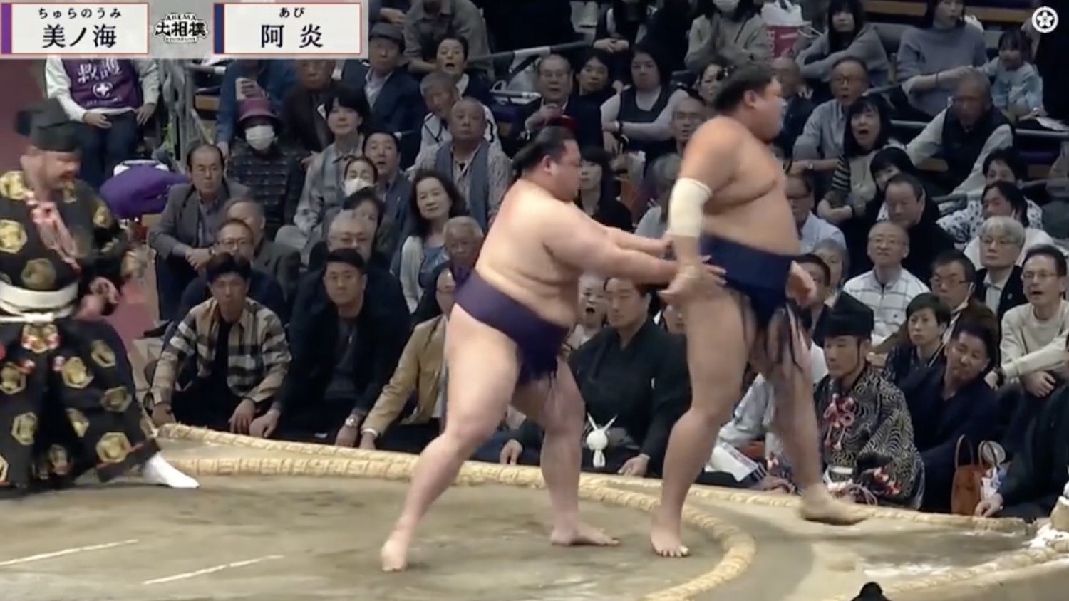 💥大相撲：这都啥行为？！观众太让人失望！