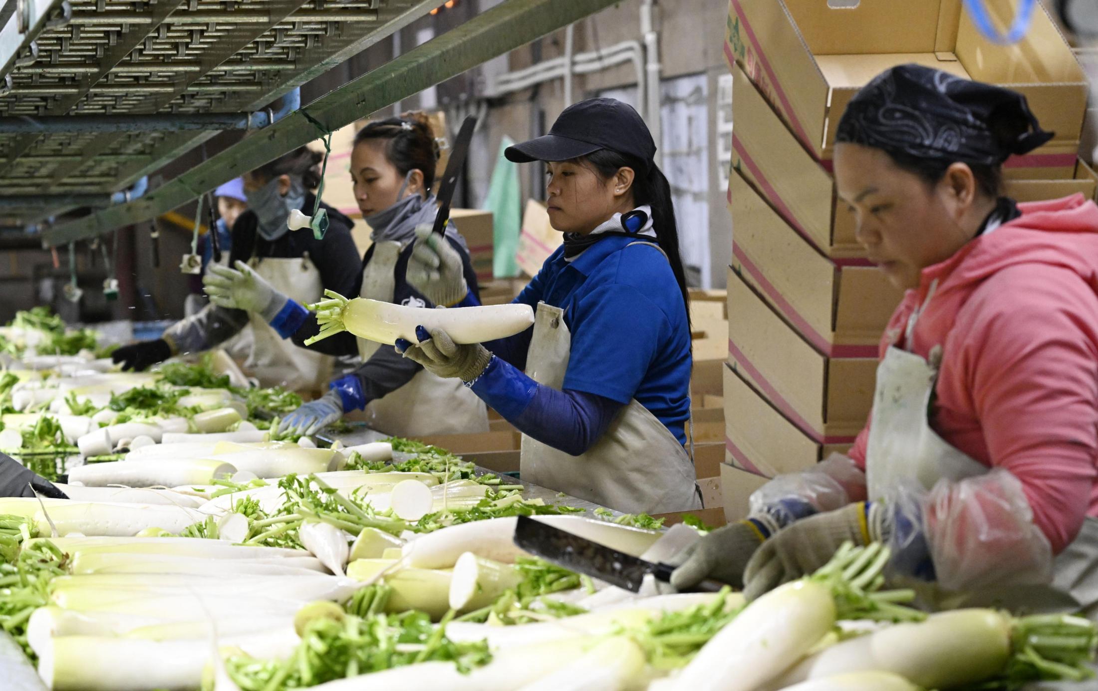🇯🇵十年漂泊：他们，在异乡翻倍了！