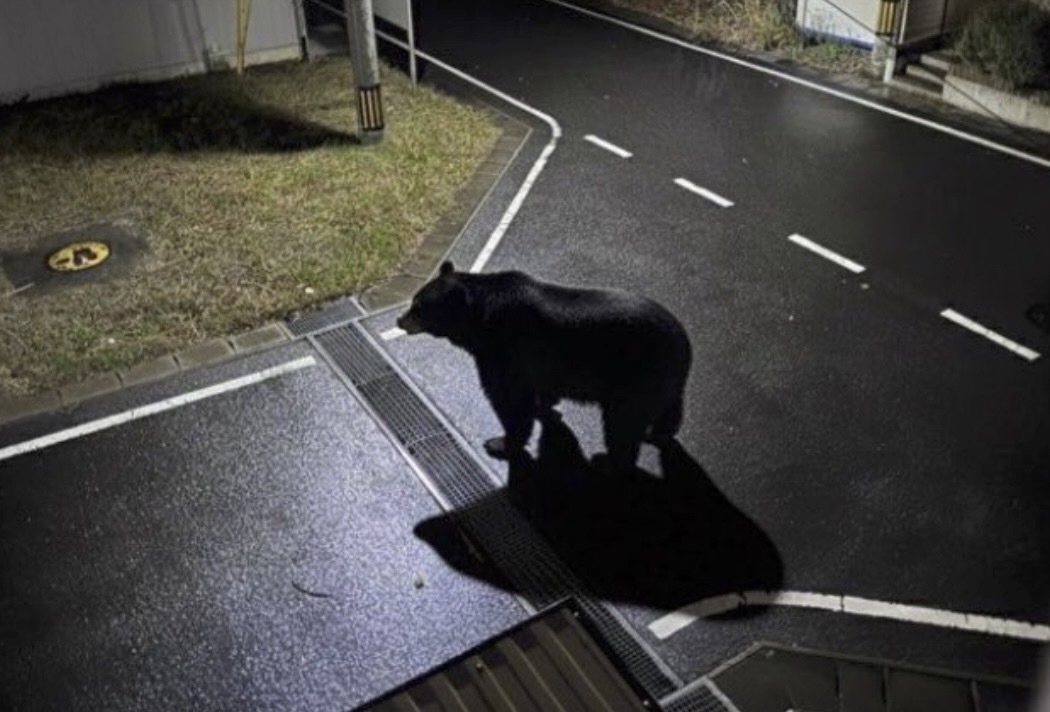 ⚠️眼见未必为实！AI换脸，真相崩塌！