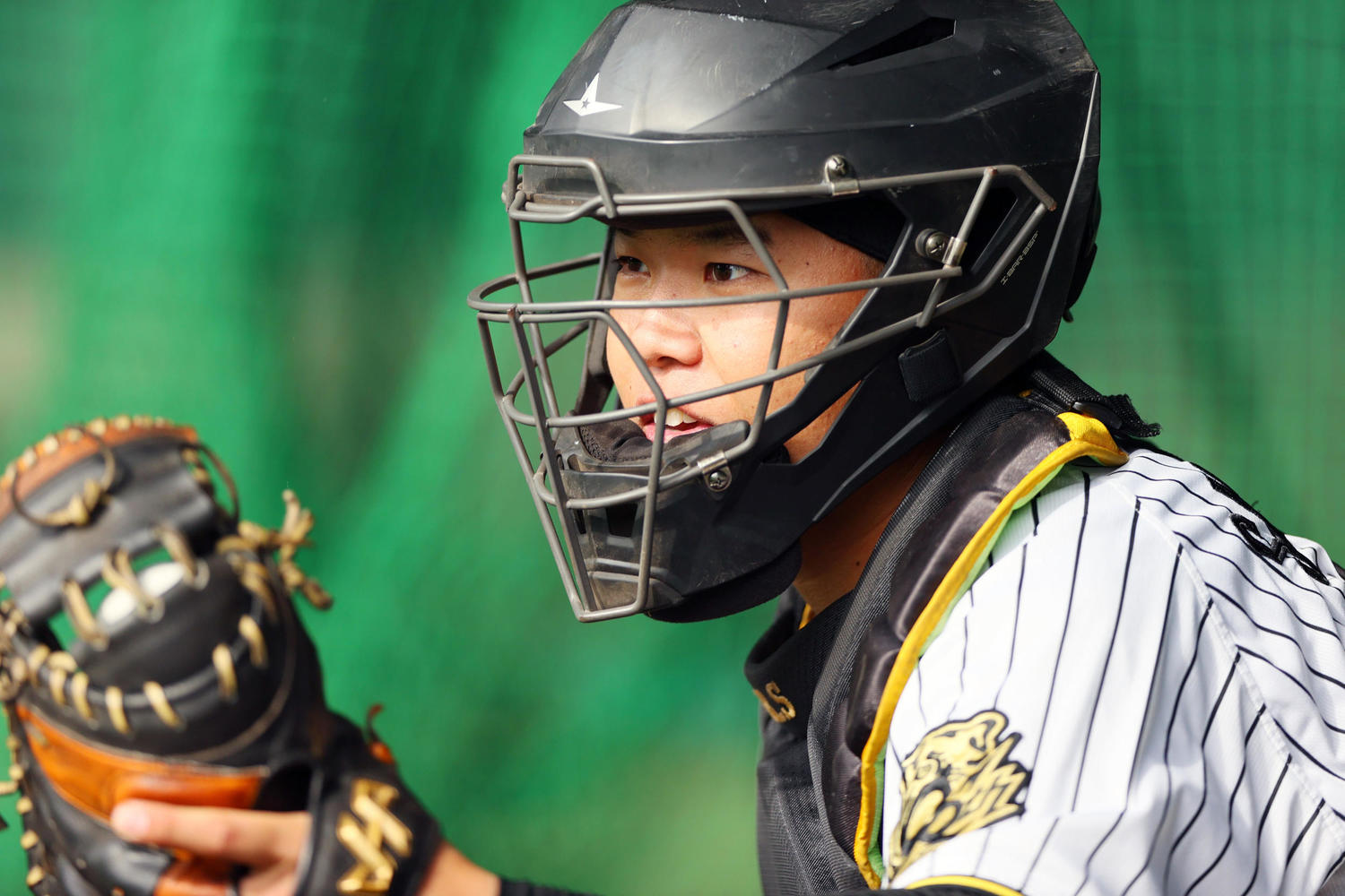 🔥阪神新帅钦点：这捕手，未来可期！