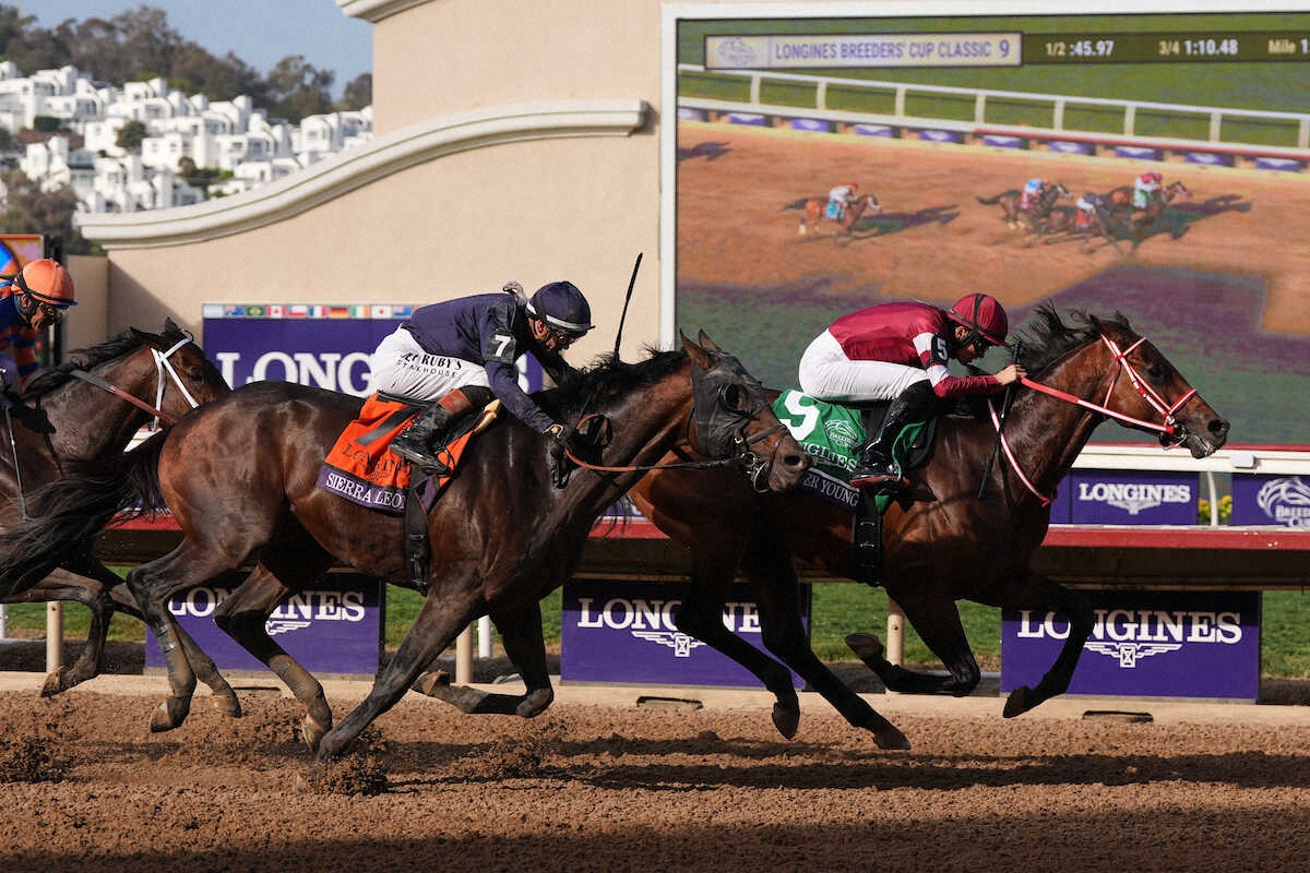 🎉日本马王！史无前例美洲夺冠！