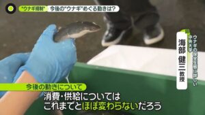 🐟鳗鱼禁运案被否！日本政府暗中出手？ 封面