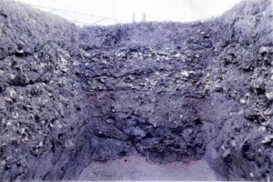 🔥1.5万年孤岛！基因揭秘：我们是谁？ 封面