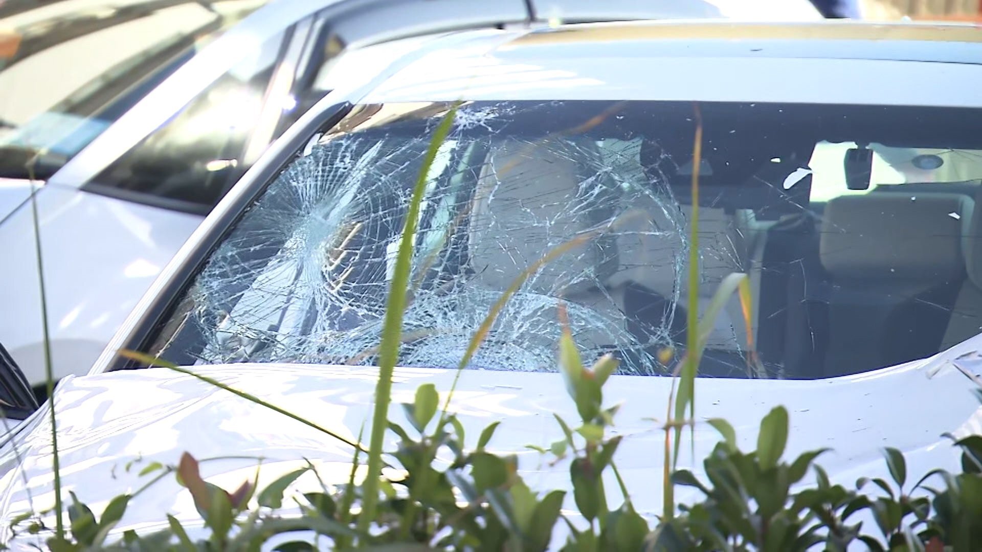 🚨撞人逃逸：11伤亡！现场疑加速，盗车贼出没！