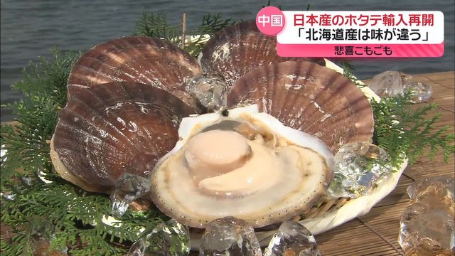 🇯🇵💥中国又馋日本扇贝了！有人欢呼，有人愁。