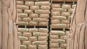 🍚省钱妙招！自家米粮，一年省387亿！ 封面