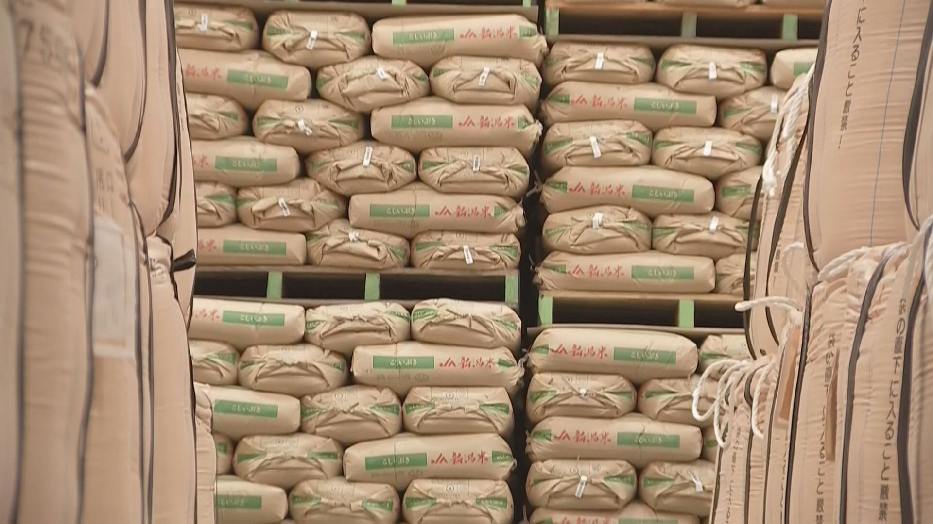 🍚省钱妙招！自家米粮，一年省387亿！