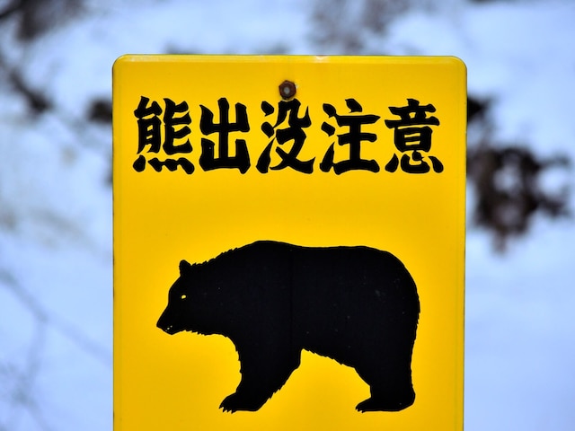 🚨熊铃响了，反而更危险？！2025年入室盗窃恐慌！