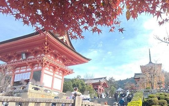 💥京都不堪了！八成订单取消，酒店损失千万！