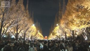 🍁银杏叶美翻了！人太多，拍照片都危险！ 封面