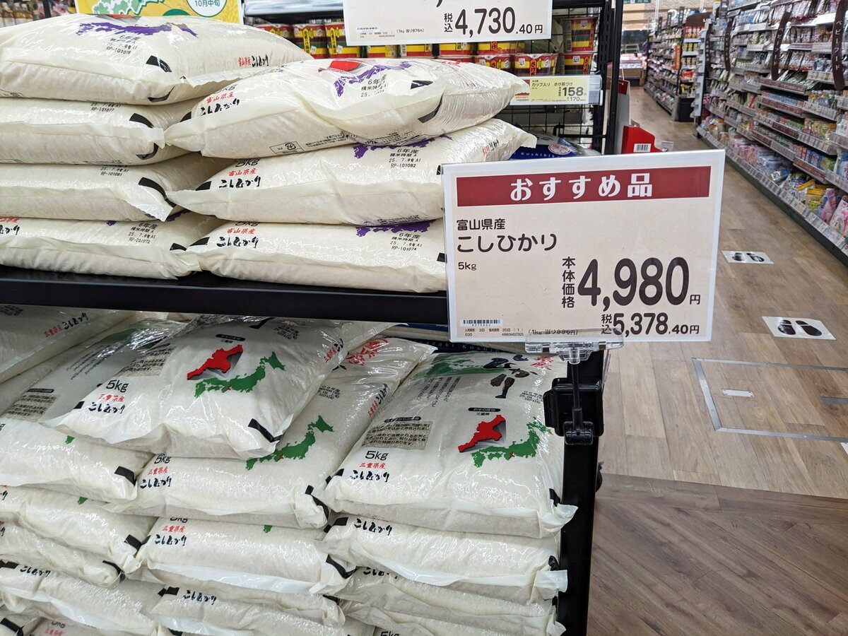 🍚 新米变“滞销货”，大商求国援，米店却冷眼旁观？