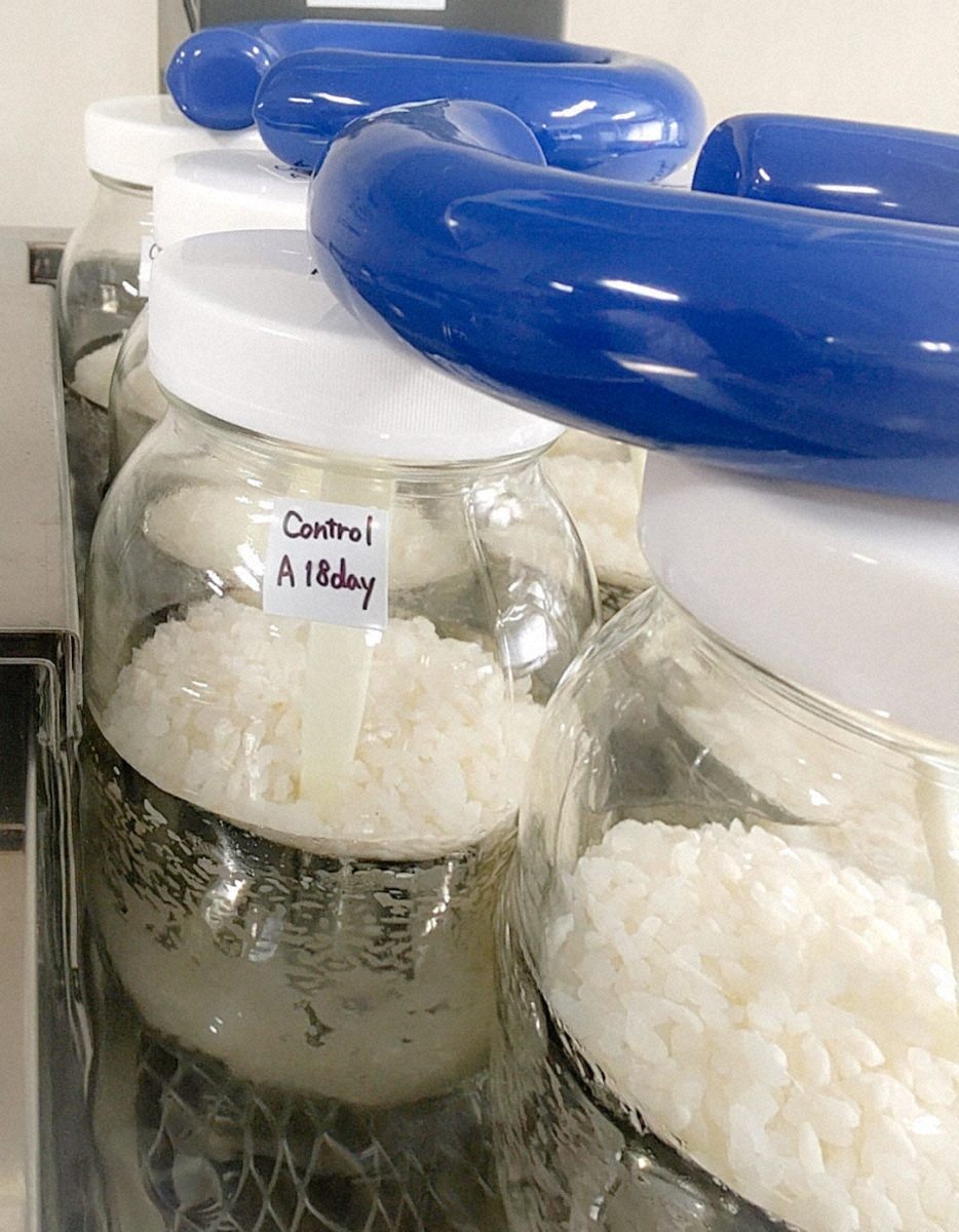 🍶 日本酒：这迷人香味，原来是这样来的！