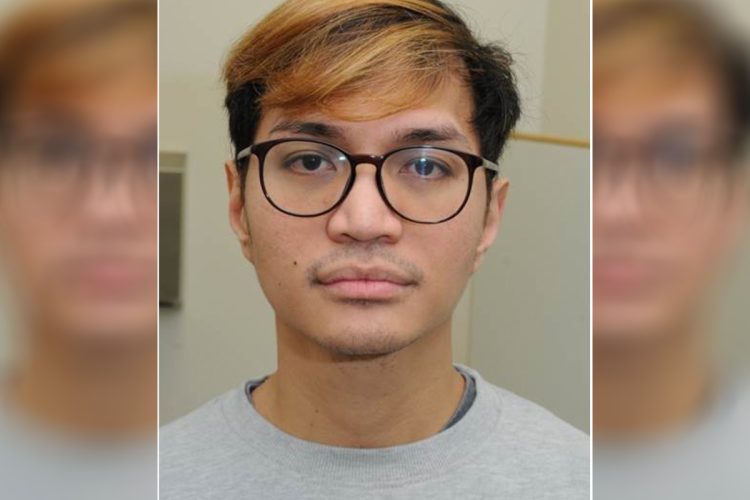 错误：Gemini API 请求失败。