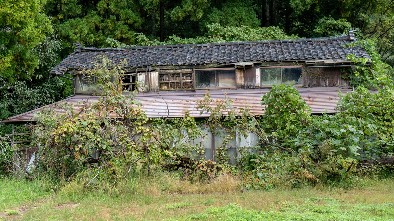 🏡爸妈退休后搬乡下，半年后儿子去探望…眼前的一幕惊呆了！