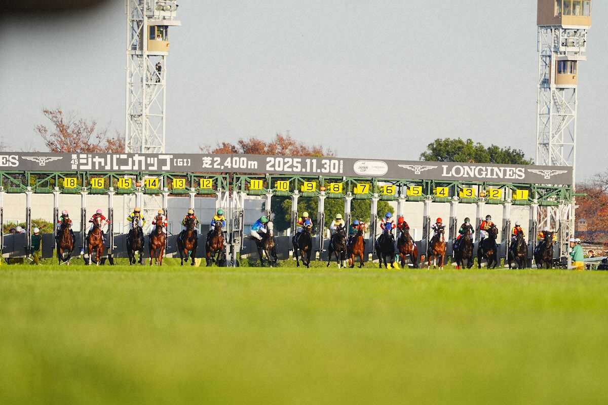 🐎 狂！空马一骑绝尘夺冠，日赛场突发惊魂！