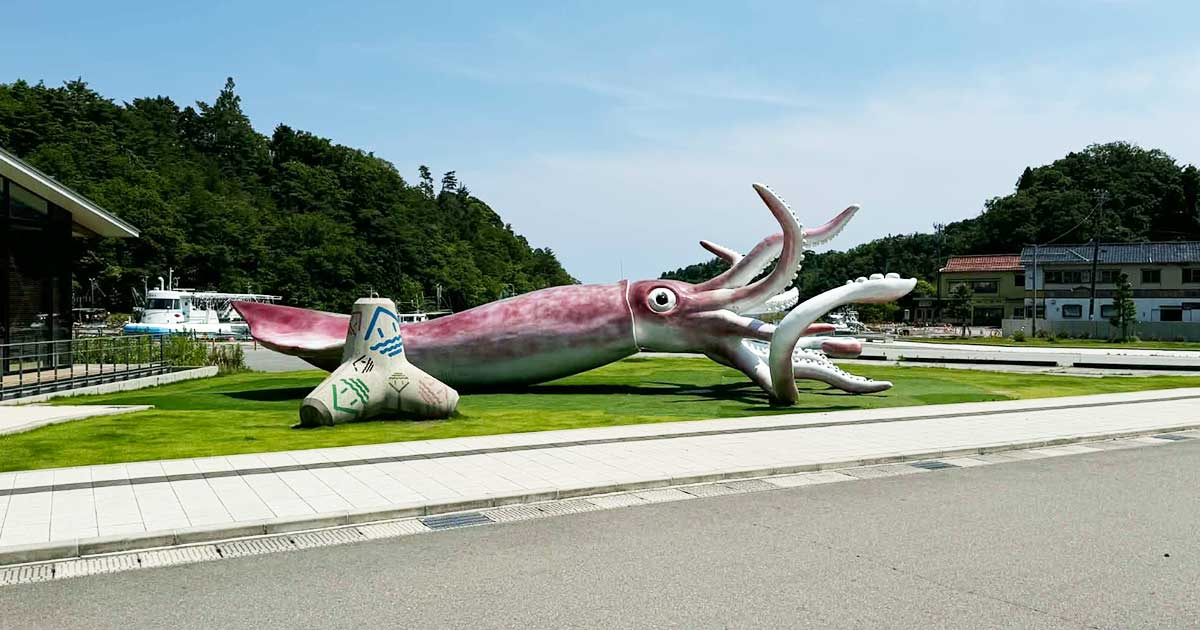 🚨巨额资金去哪了？美英也盯上！你的税钱真香？