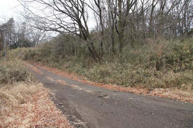 🔍神出鬼没！你能发现藏在风景里的两名自卫队员吗？
