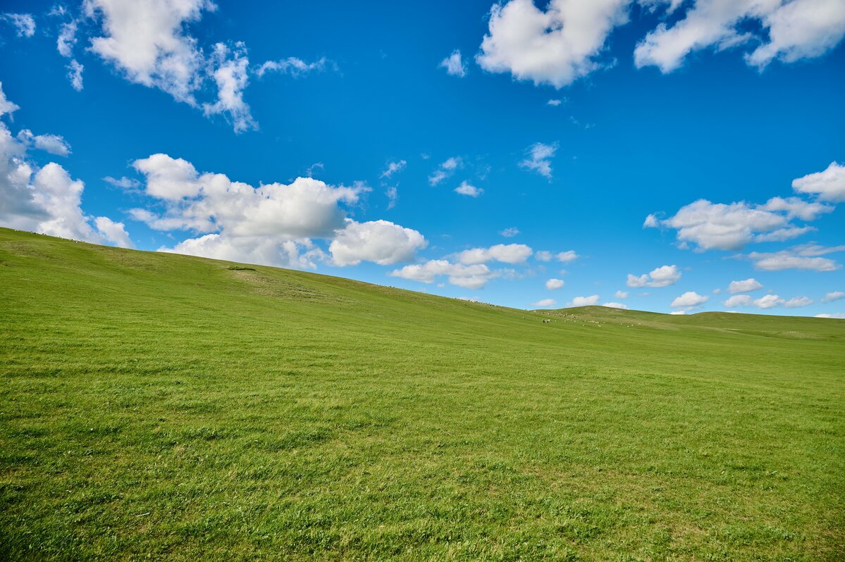 ⛰️ 九州阿苏，和蒙古草原傻傻分不清？这风景也太震撼了吧！