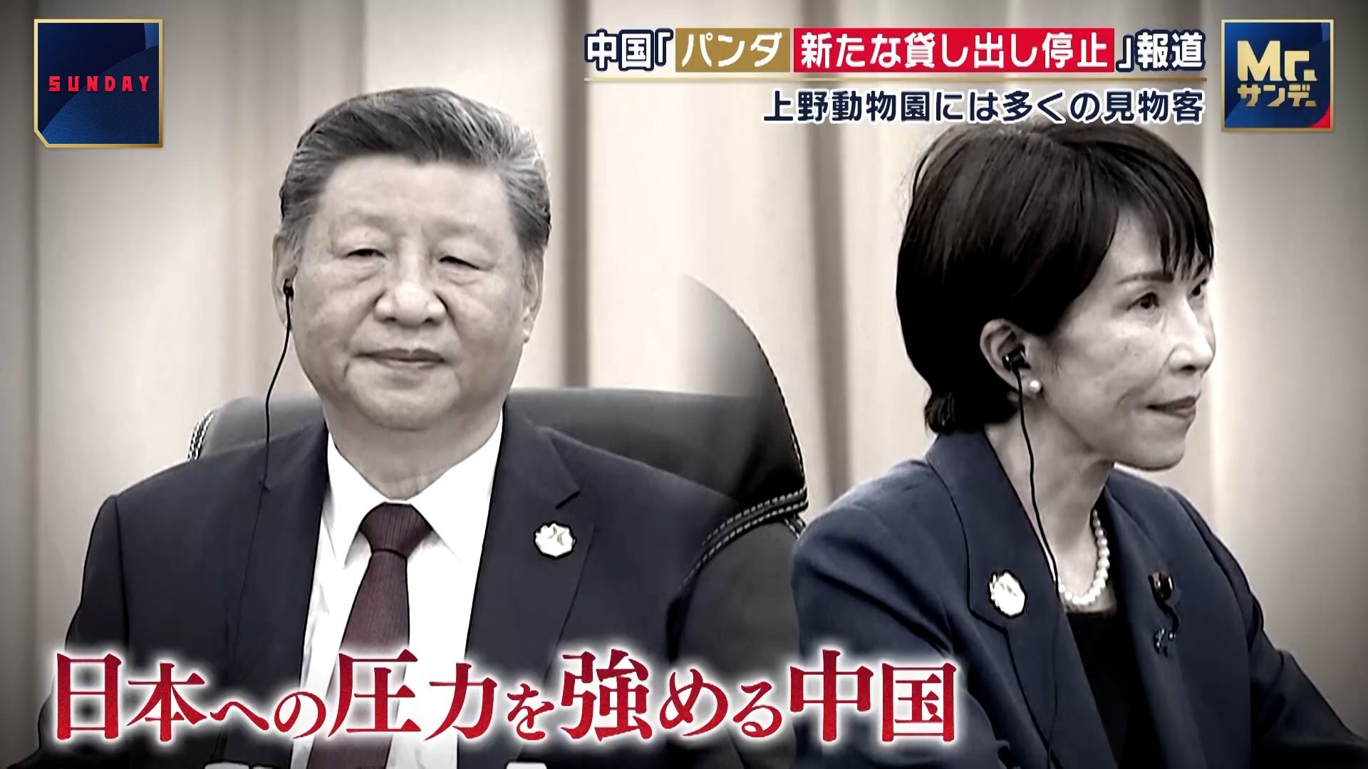 🐼熊猫“失踪”？上野动物园排队70分钟，游客团取消订单！