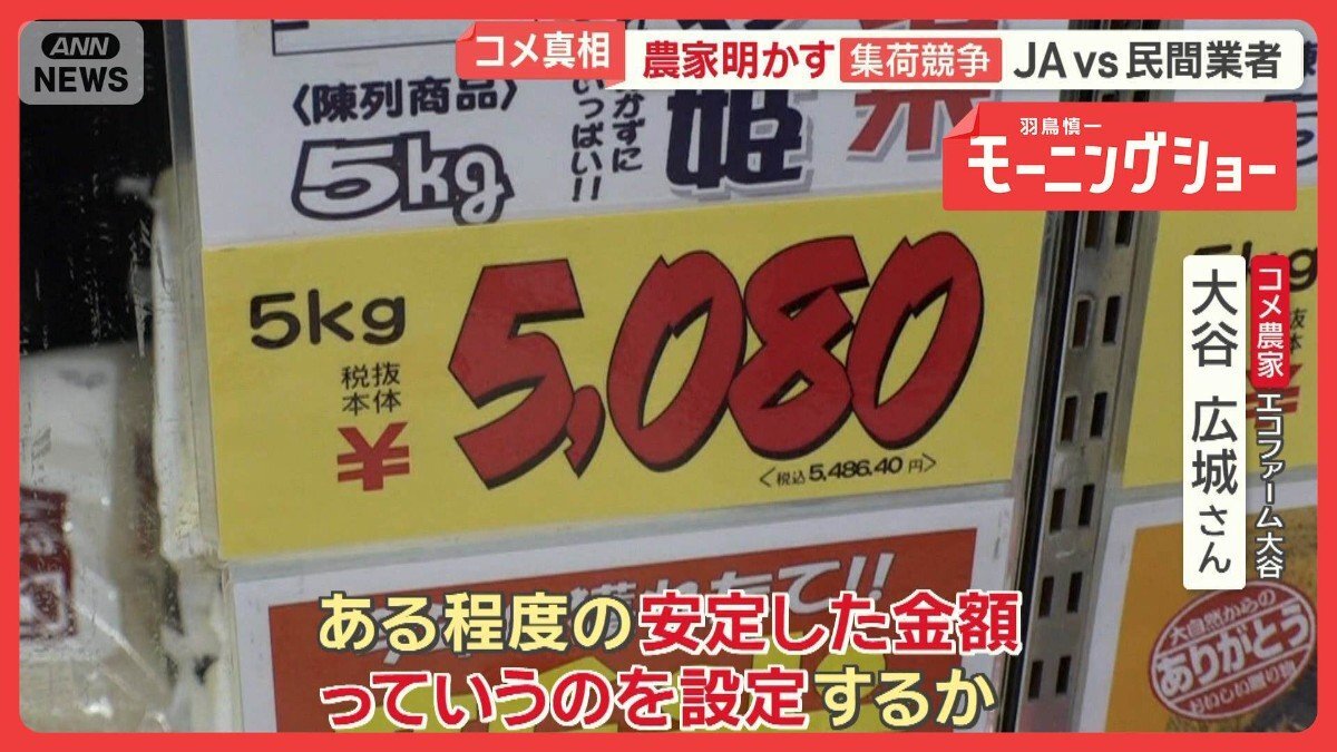 🍚米农也懵了！库存如山，米价却疯涨？