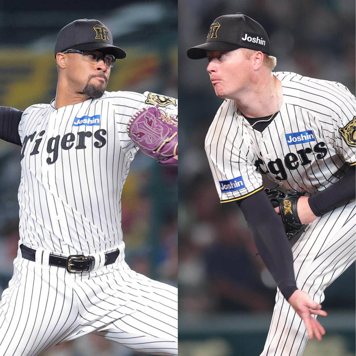 ⚾️阪神外援大地震！一人走，一人留，球迷心碎了！