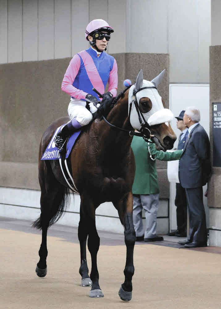 🐎 狂！飞奔的马，竟跑第六？简直无法想象！