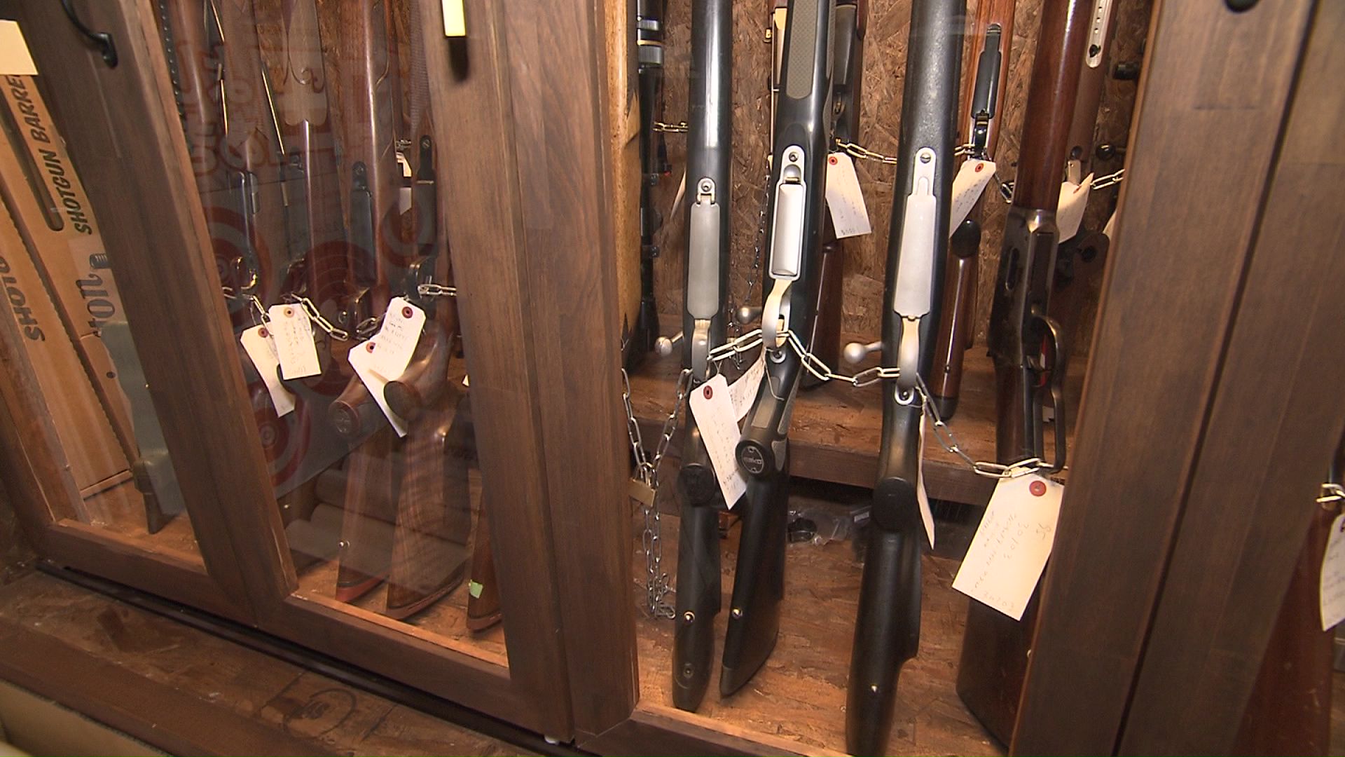 🚨熊出没！警察也配枪？专家：防身需“致命”！