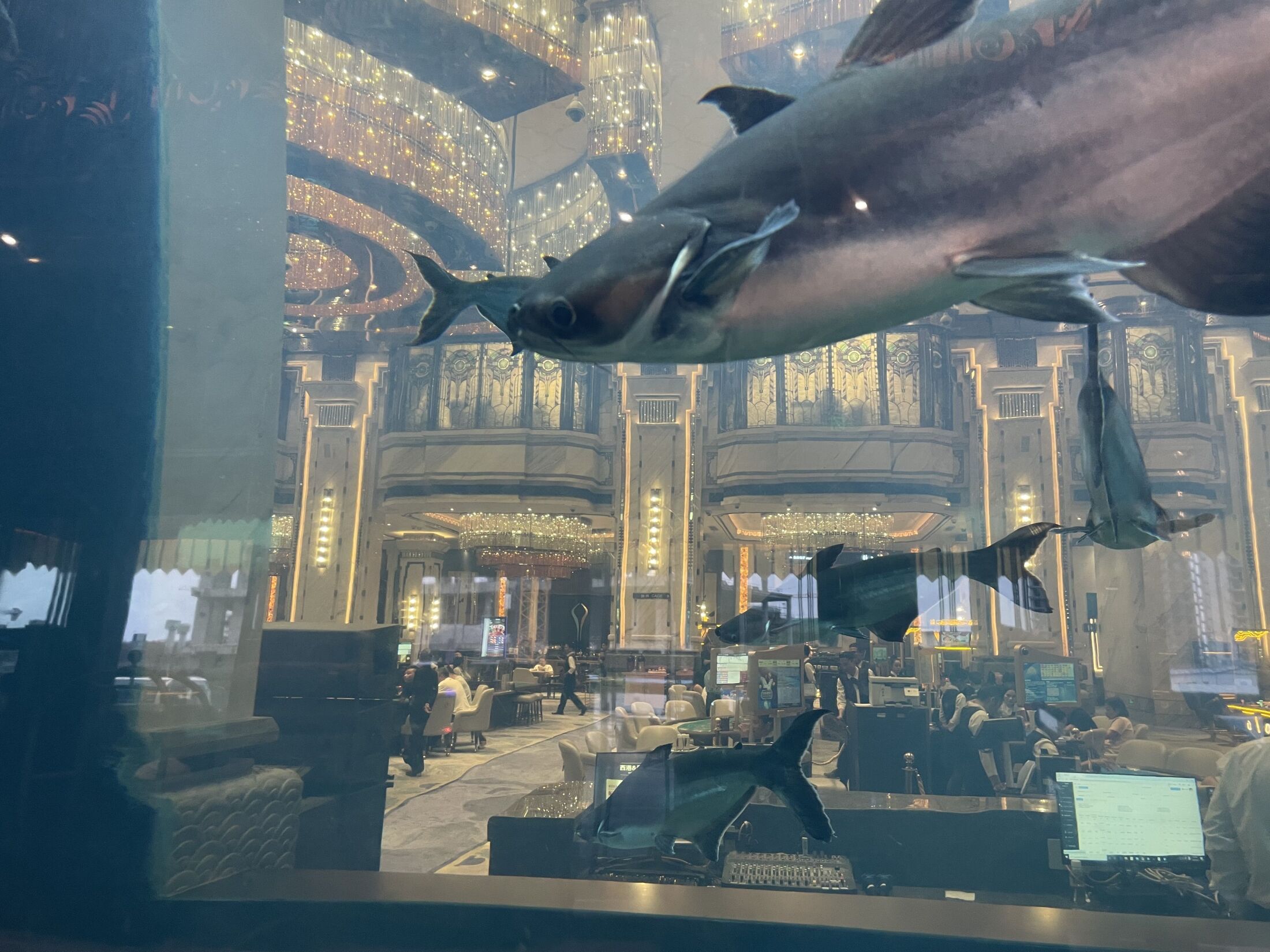 🚨柬埔寨被“端掉”！背后是中国诈骗集团，与习近平关系竟…