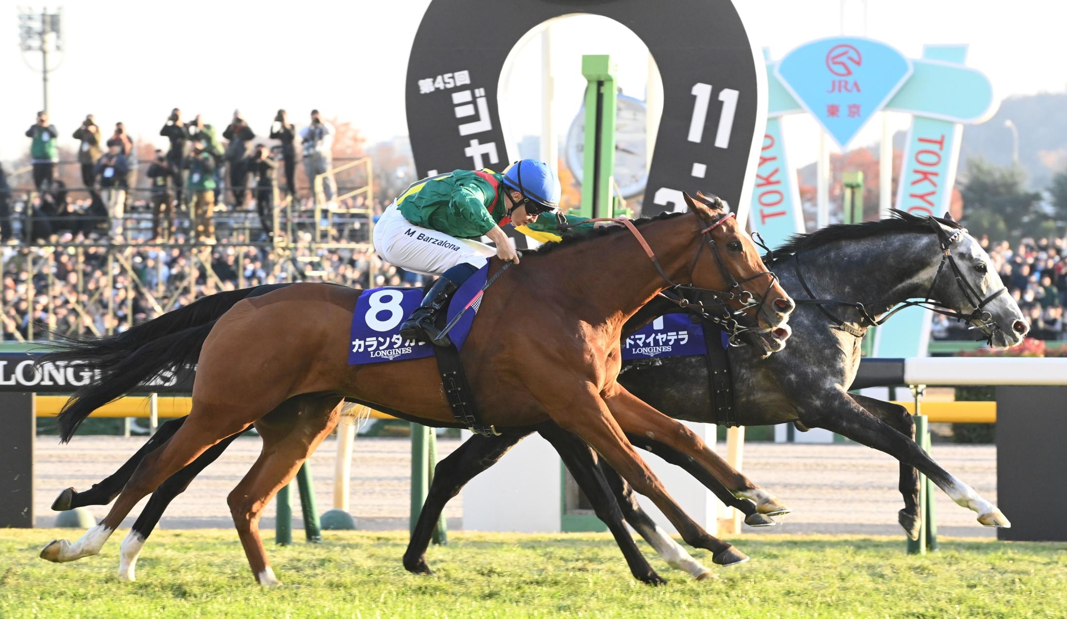 💥日本赛场突发！多匹赛马连摔，全场哗然！😱