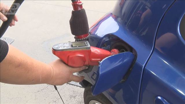 ⛽️ 油价别慌！囤油没用，降价没戏！